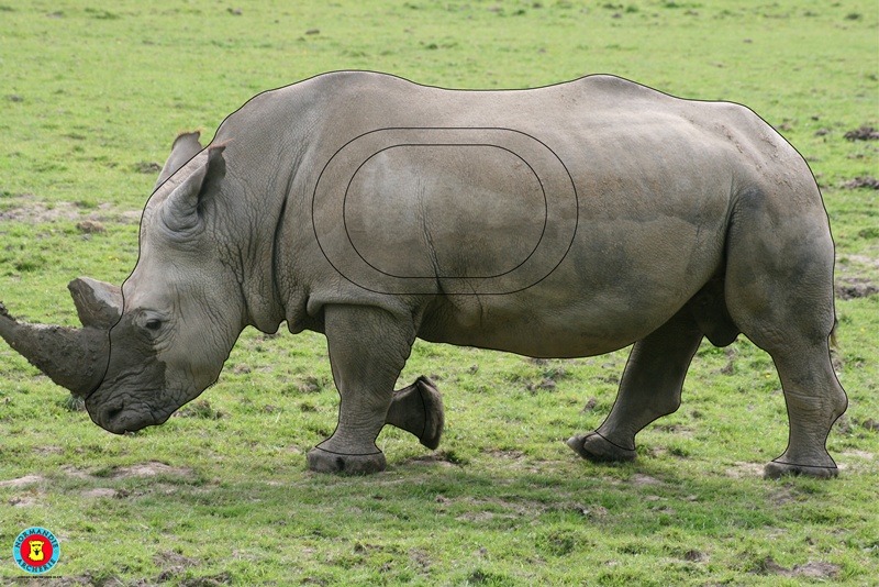 rhino nature